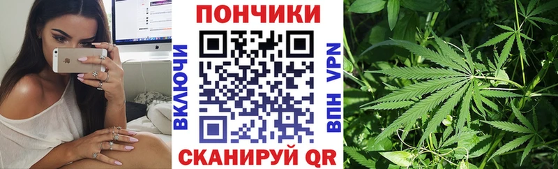 где купить наркоту  Кадников  Канабис Amnesia 